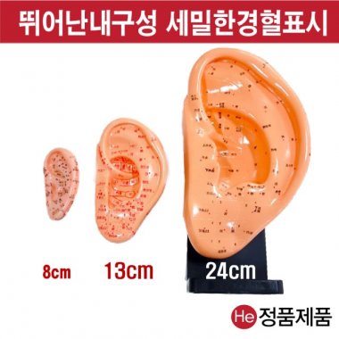 귀모형 8cm 2002ZY 인체모형 사람인체구조 아나토미 뇌구조 대뇌 위모형 간모형 뇌모형 두개골 척추 인대 근육모형 인체해부도 뇌혈관 전신모형 동인형 뇌해부 인체모형 소형 사람인체구조 아나토미 위모형 간모형 뇌모형 두개골 척추 인대 근육모형 인체해부도 척골 요골 전신모형 동인형 경혈인형 손모형 발모형