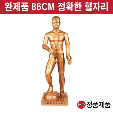 해성동인형 대형 1개 한국표준침구 인테리어 해성 소품 장식품 조각상 동상 공예품 경혈모형